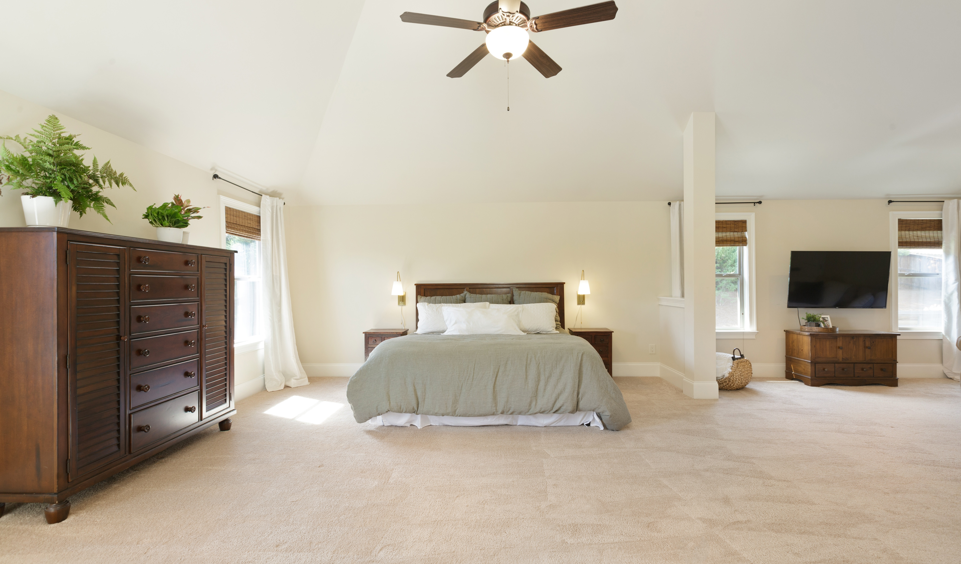 Professional carpet cleaning in London