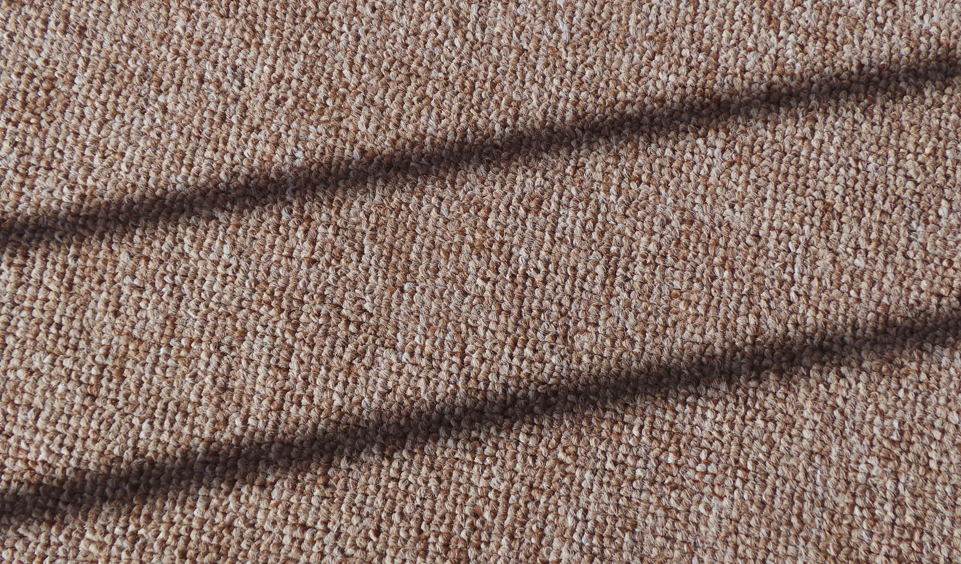 Professional carpet cleaner cleaning a carpet in a London home