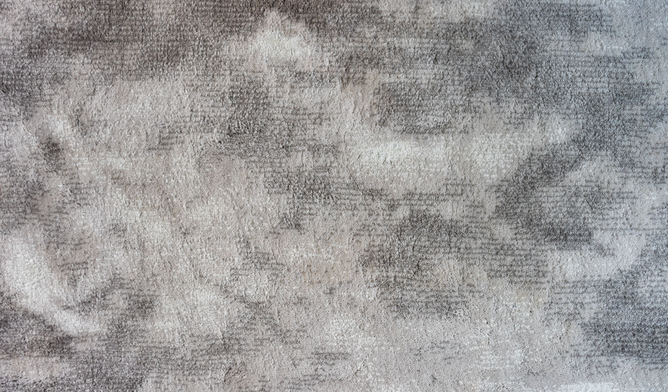 Professional carpet cleaning in London